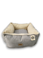 Moises Mona - Imagen 2