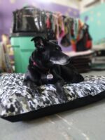 Colchoneta Antidesgarro con cierre - Imagen 3