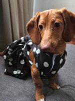 Vestido Nina - Imagen 4